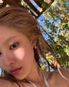 daxbin Altpins Profile Picture