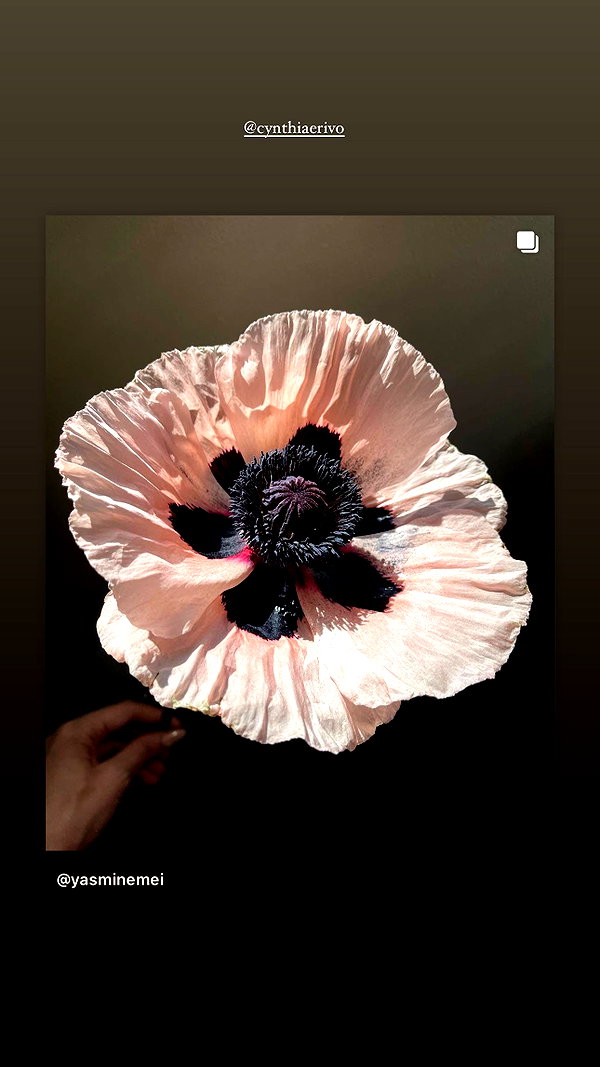 arianagrande instagram image archive image