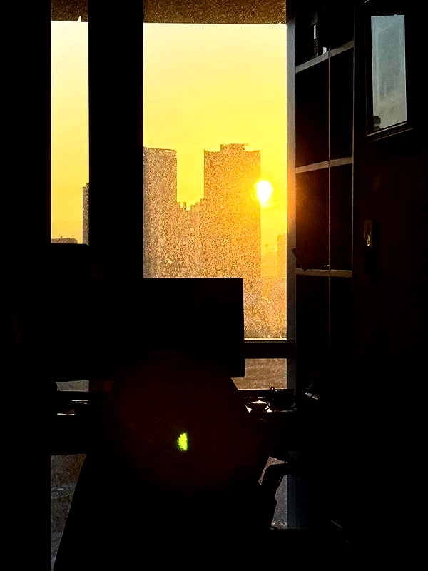 tirtza_cohen instagram image archive image