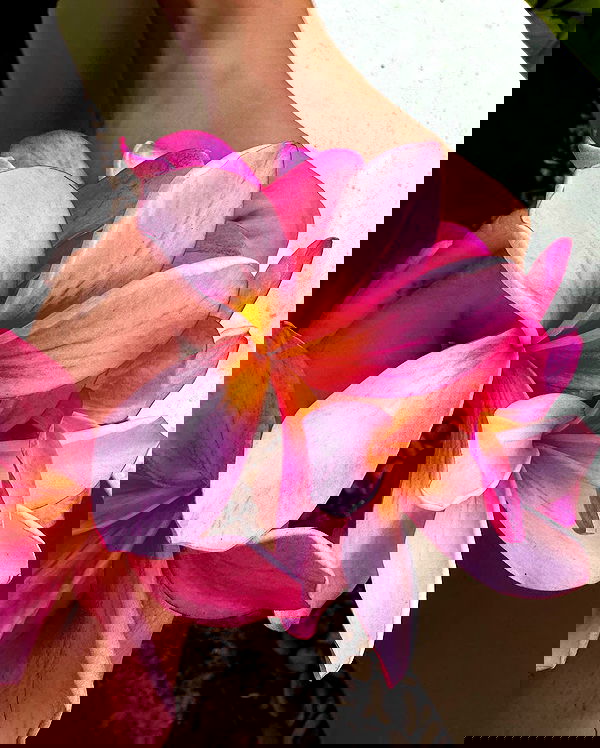 taylor.creeden taylor.creeden archive image