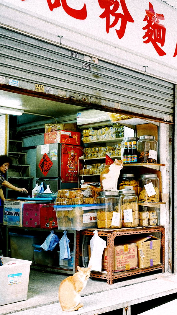 pia__kim archive image