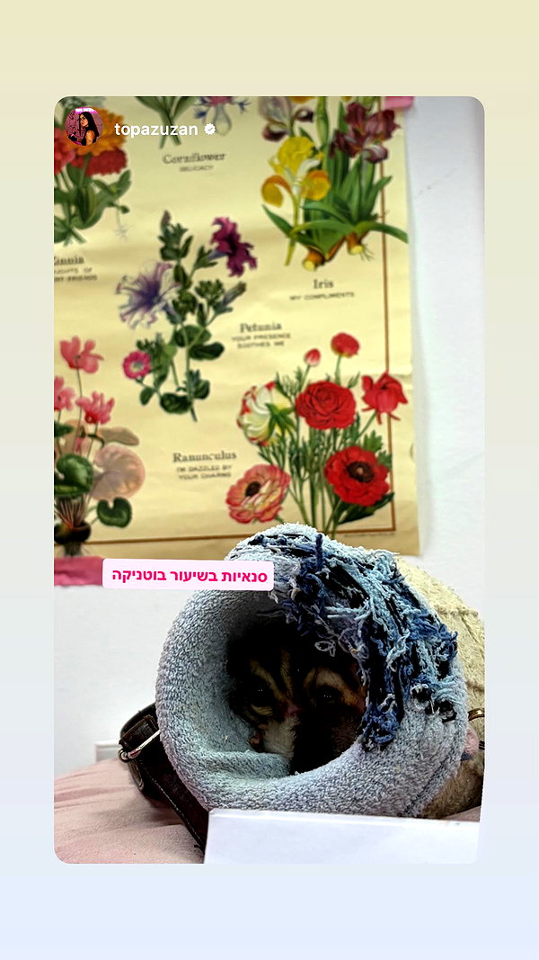 rotem.antman rotem.antman archive image