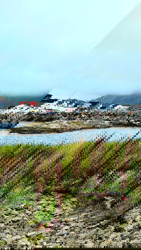 taylor.creeden taylor.creeden archive image