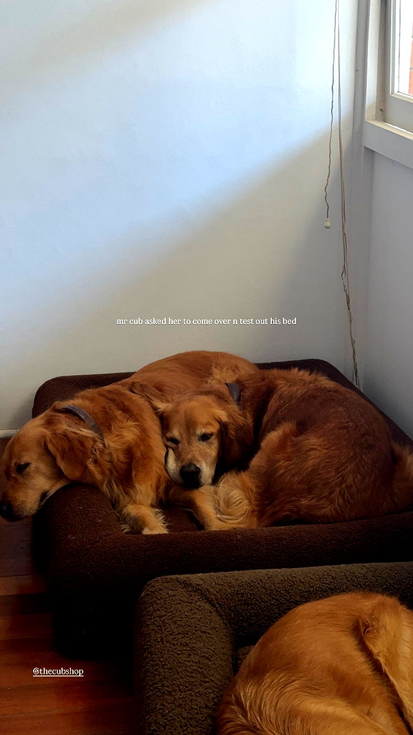 Archived image from @edenharper on Instagram