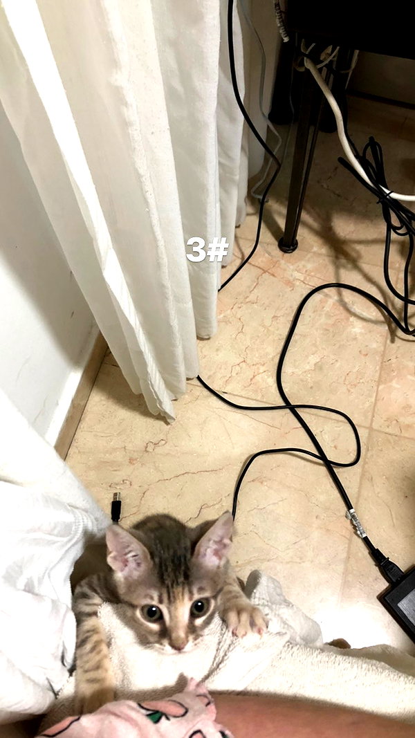 Archived image from @notchicore on Instagram