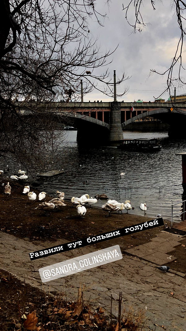 eva_romanovski instagram image archive image