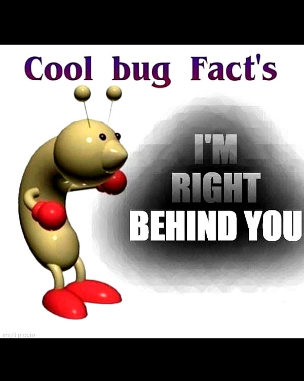 leanbeefpatty instagram image archive image