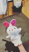 luly1980s Altpins Profile Picture