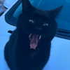 nishymoon_ Altpins Profile Picture