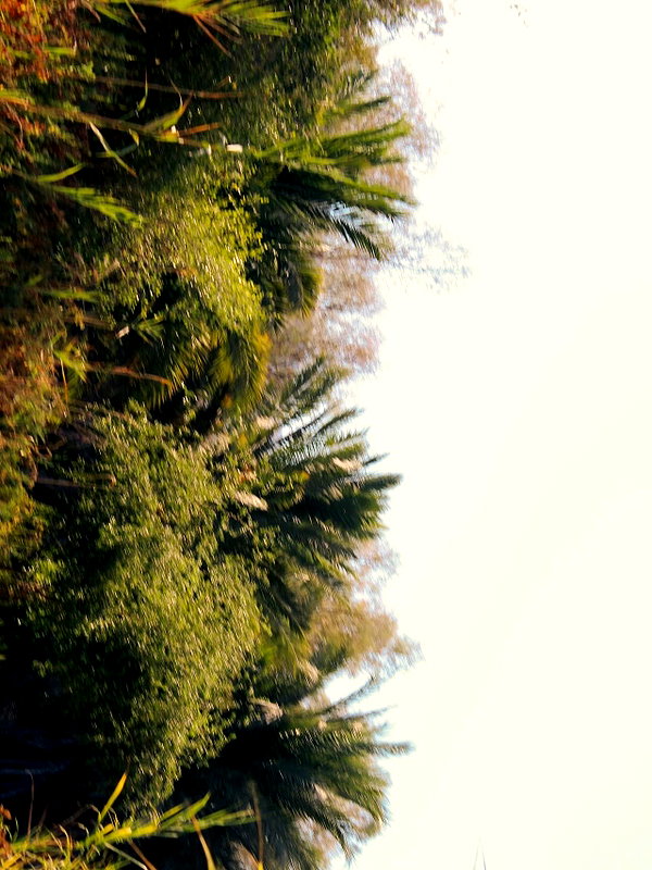 rei.sigalov instagram image archive image