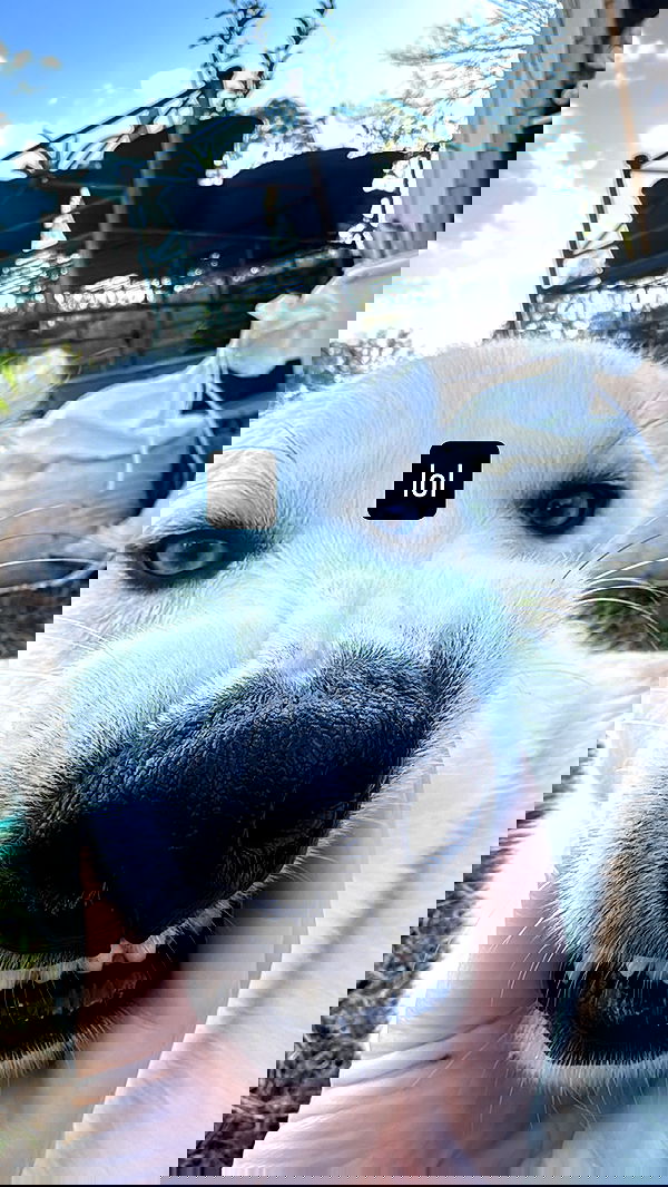 lolaxyummy lolaxyummy archive image