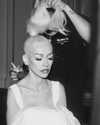xtina Altpins Profile Picture