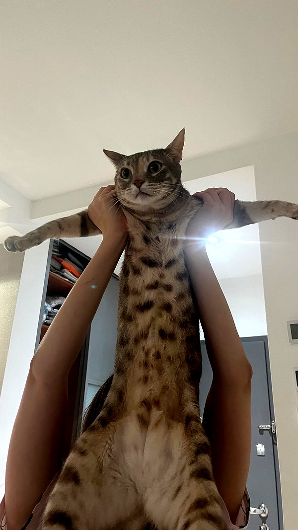 Archived image from @notchicore on Instagram