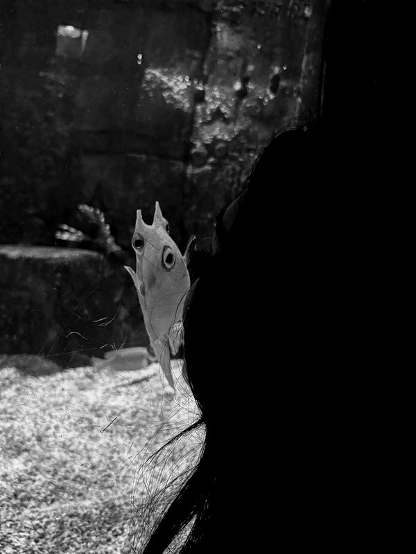 mayamorgannnnnn instagram image archive image
