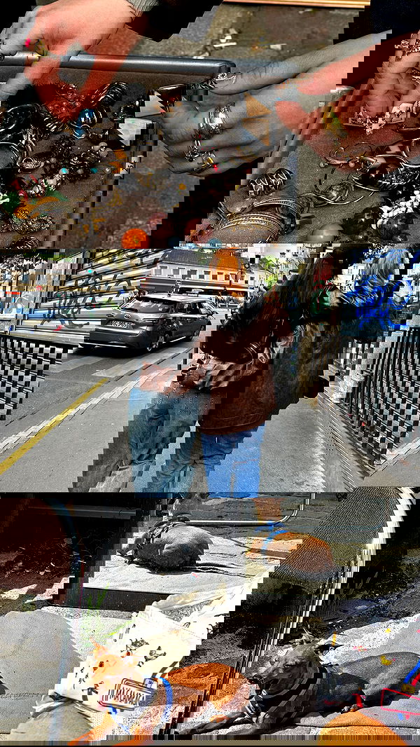 manjolamuriqi manjolamuriqi archive image