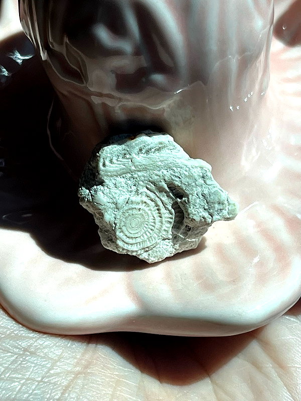 leanxhrt instagram image archive image