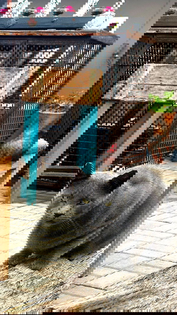 taylor.creeden taylor.creeden archive image