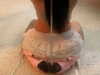 puppyknucklesxx Altpins Profile Picture