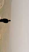 hadas_mayer_ Altpins Profile Picture