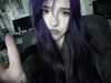 lavbackpack Altpins Profile Picture