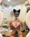 wannabeyourbabygirl Altpins Profile Picture