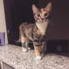 kayyybear Altpins Profile Picture