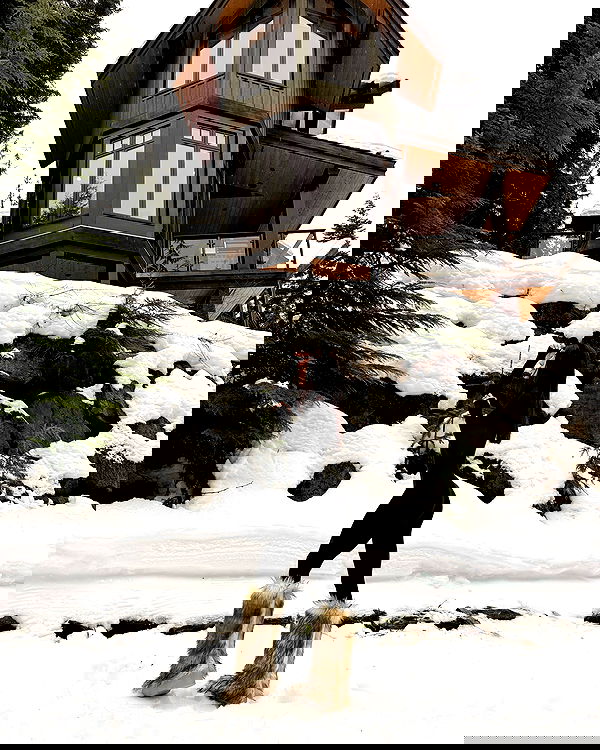 paigeinsco paigeinsco archive image