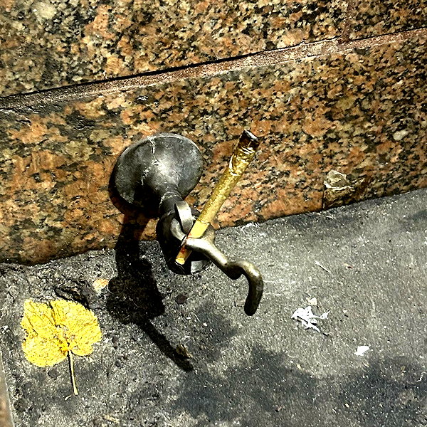 leekssarchive instagram image archive image