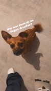 macezayuri Altpins Profile Picture