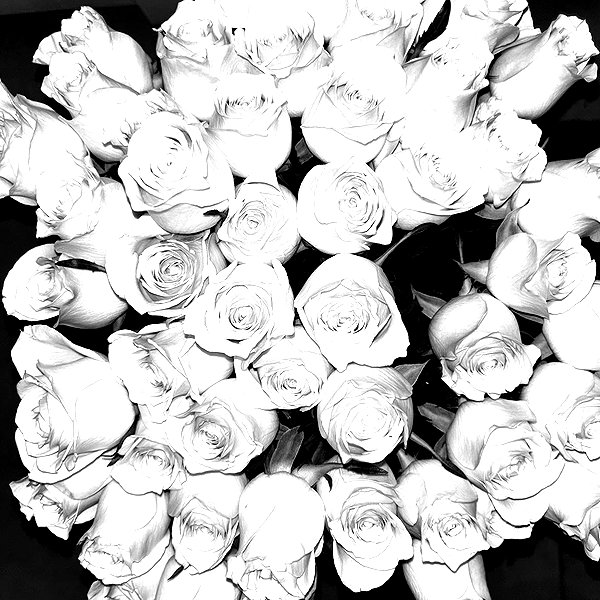 _allvi.pansk instagram image archive image