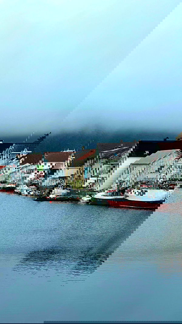 taylor.creeden taylor.creeden archive image