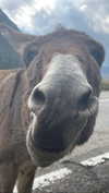 s111y_ccc0nt3 Altpins Profile Picture