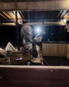 darkstar_mia Altpins Profile Picture