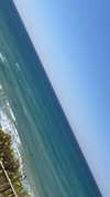 nicole_ac Altpins Profile Picture