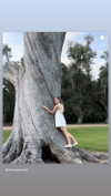 babynympho_archive Altpins Profile Picture