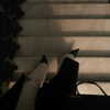 veroni22ka Altpins Profile Picture