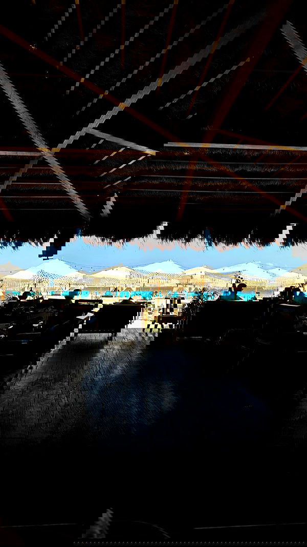 taylor.creeden taylor.creeden archive image