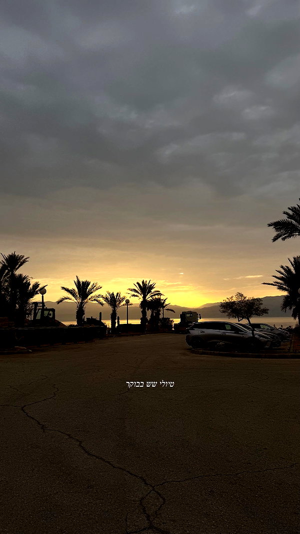 shaharo__._ instagram image archive image
