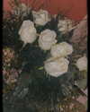 nicole_ac Altpins Profile Picture