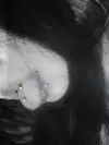 hanfbbae Altpins Profile Picture