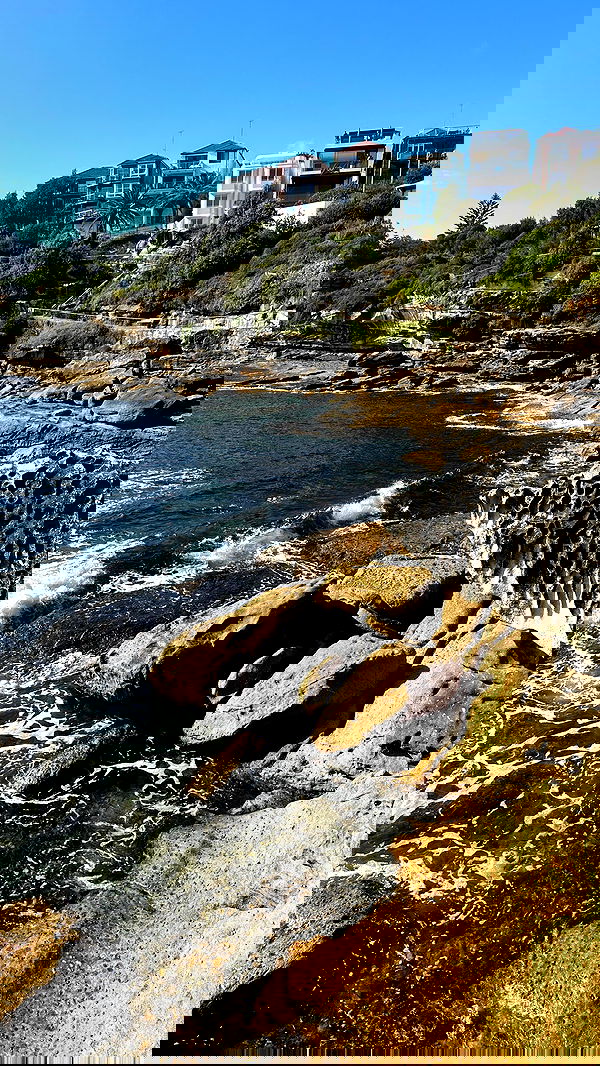 taylor.creeden taylor.creeden archive image