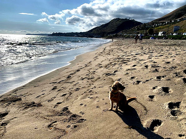 alexandradaddario instagram image archive image
