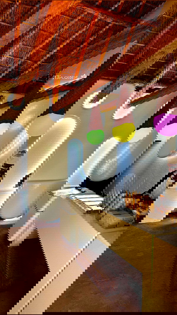 taylor.creeden taylor.creeden archive image