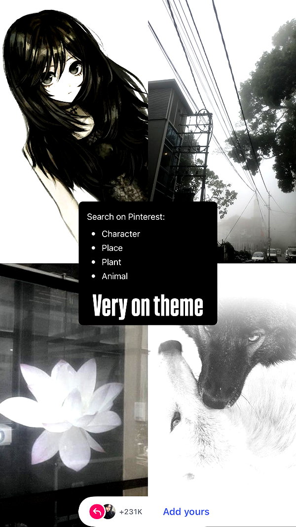 liashaked instagram image archive image