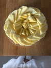 alma_ck_ Altpins Profile Picture