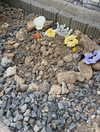 imo00_2 Altpins Profile Picture