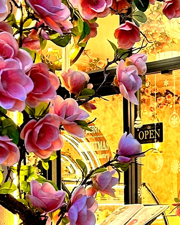 indra0102_ instagram image archive image