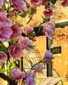 indra0102_ Altpins Profile Picture