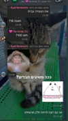 tuliprivet Altpins Profile Picture