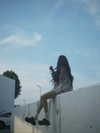 hhh.e_c.v Altpins Profile Picture